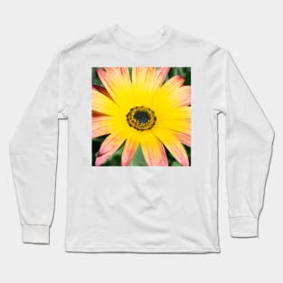 Vibrant Yellow Pink Gerber Daisy Long Sleeve T-Shirt